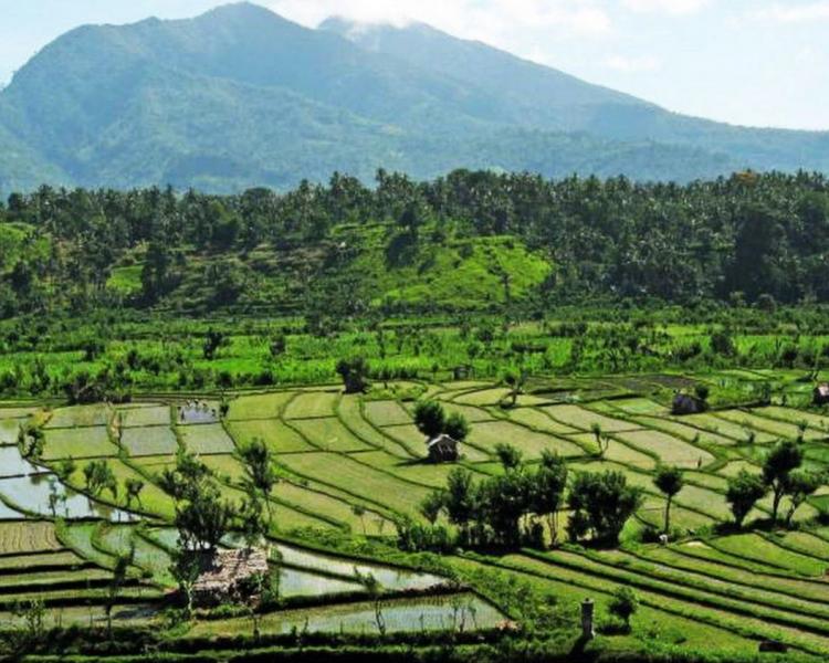 faire la balade  à  kastala , karangasem bali