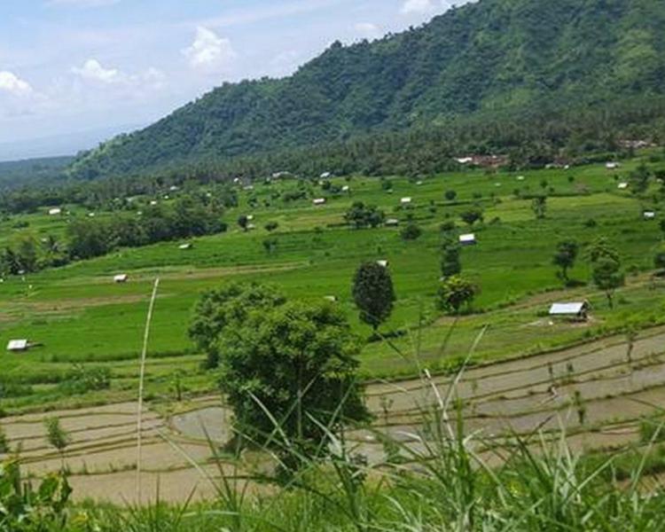 balade au village de sidemen avec de belles collines et rizières