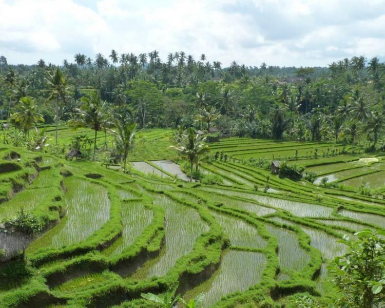 bali balade à pied kastala