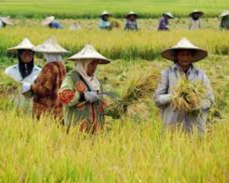 faire la balade et voir la beauté du village de pejeng