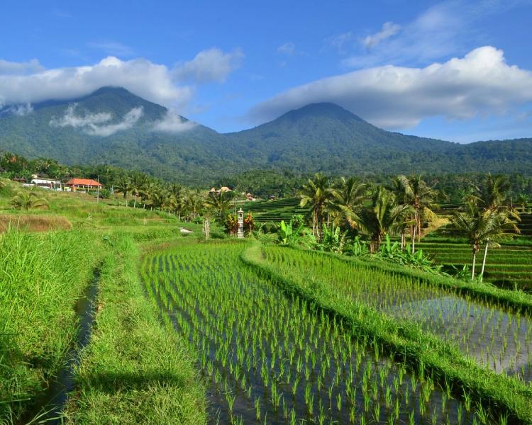 randonnée sidemen,bali-balilabelle
