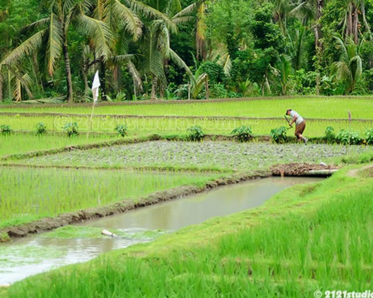 voyage à bali randonnée kastala et le palais tirtagangga