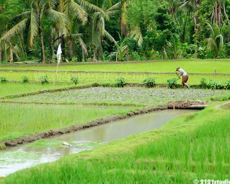 munduk balade  à pied , canoer au lac tamblingan , et cours de cuisine