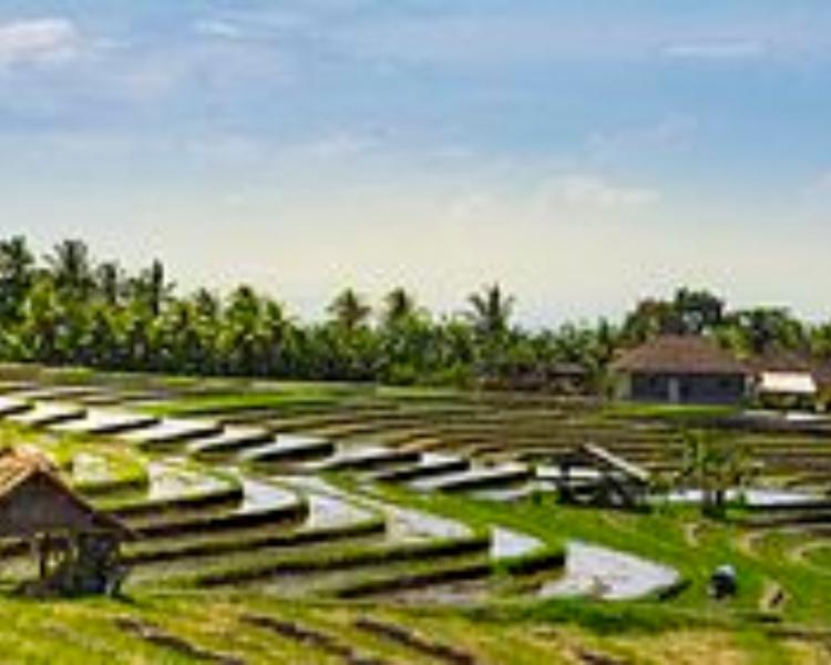 balade  à pied au village kastala bali