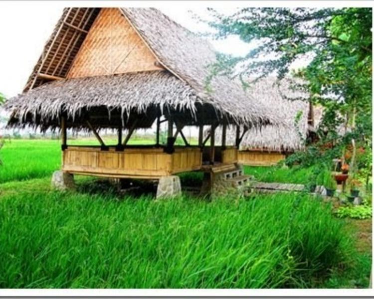 randonnée dans les environs d'ubud2026