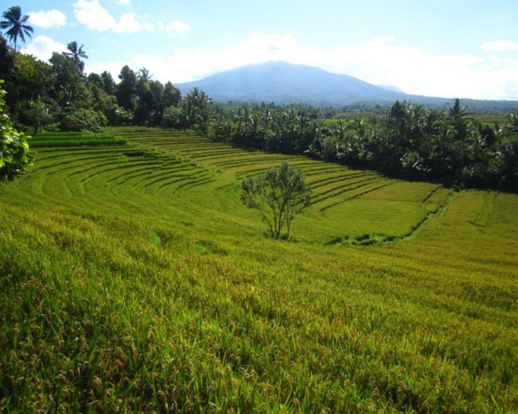 bali sidemen randonnée et telaga waja rafting,balilabelle