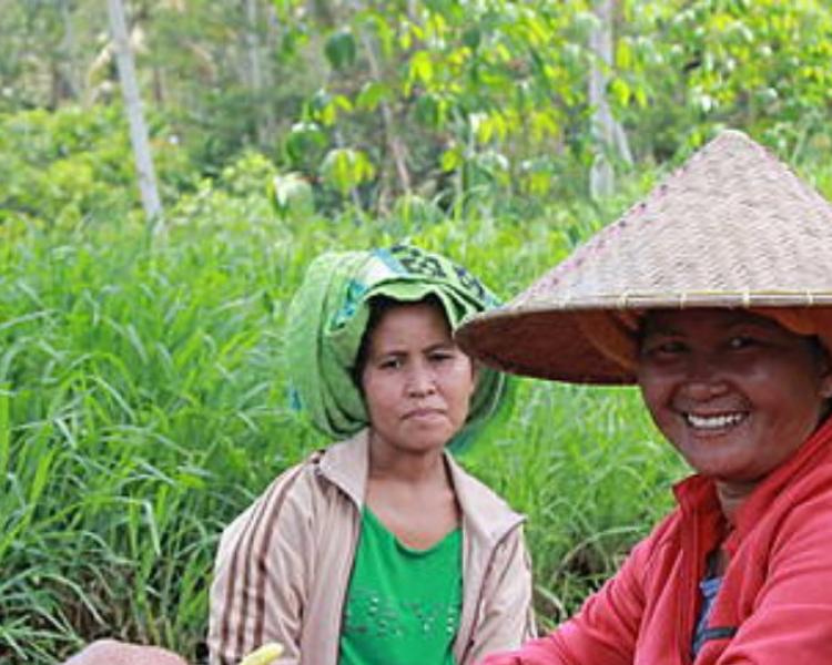 bali randonnée à kastala.bali-karangasem