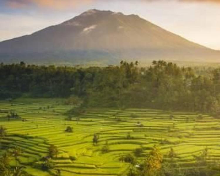 bali randonnée dans la zone de Sidemen est célèbre pour les rizierres en terrrasses