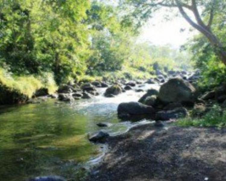 Trekking a Sidemen est célèbre pour sa beauté naturelle a la basse du mont agung 2026