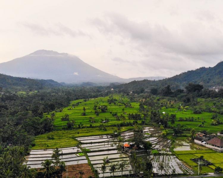 Randonnée dans la foret primair  et canoë sur le lac Tamblingan,munduk