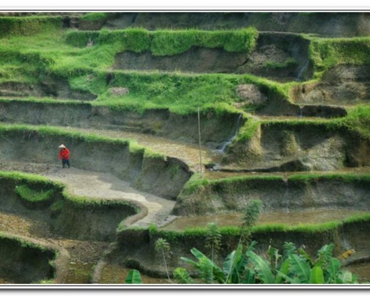 très belle randonnée dans le village de belimbing et visite tanah lot-balilabelle