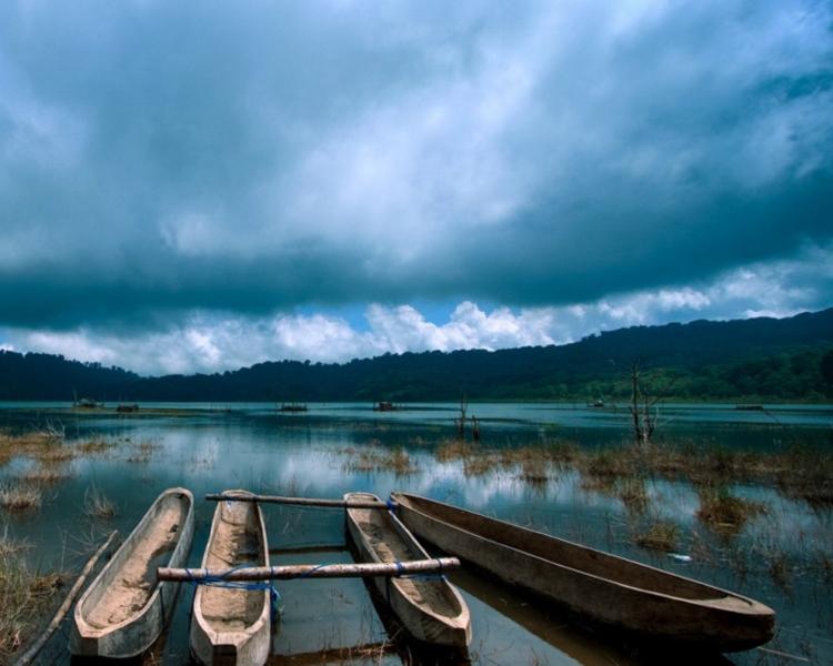 balade dans la jungle sauvage du lac buyan