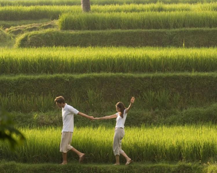 Munduk – randonnée,bali