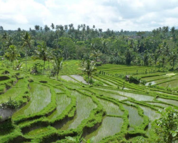 Belle randonnée dans le village de Kastala,balilabelle