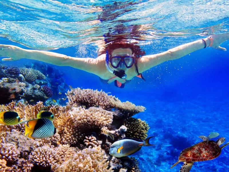 plongée à Bali profiter des lieux naturels sous-marins-balilabelle