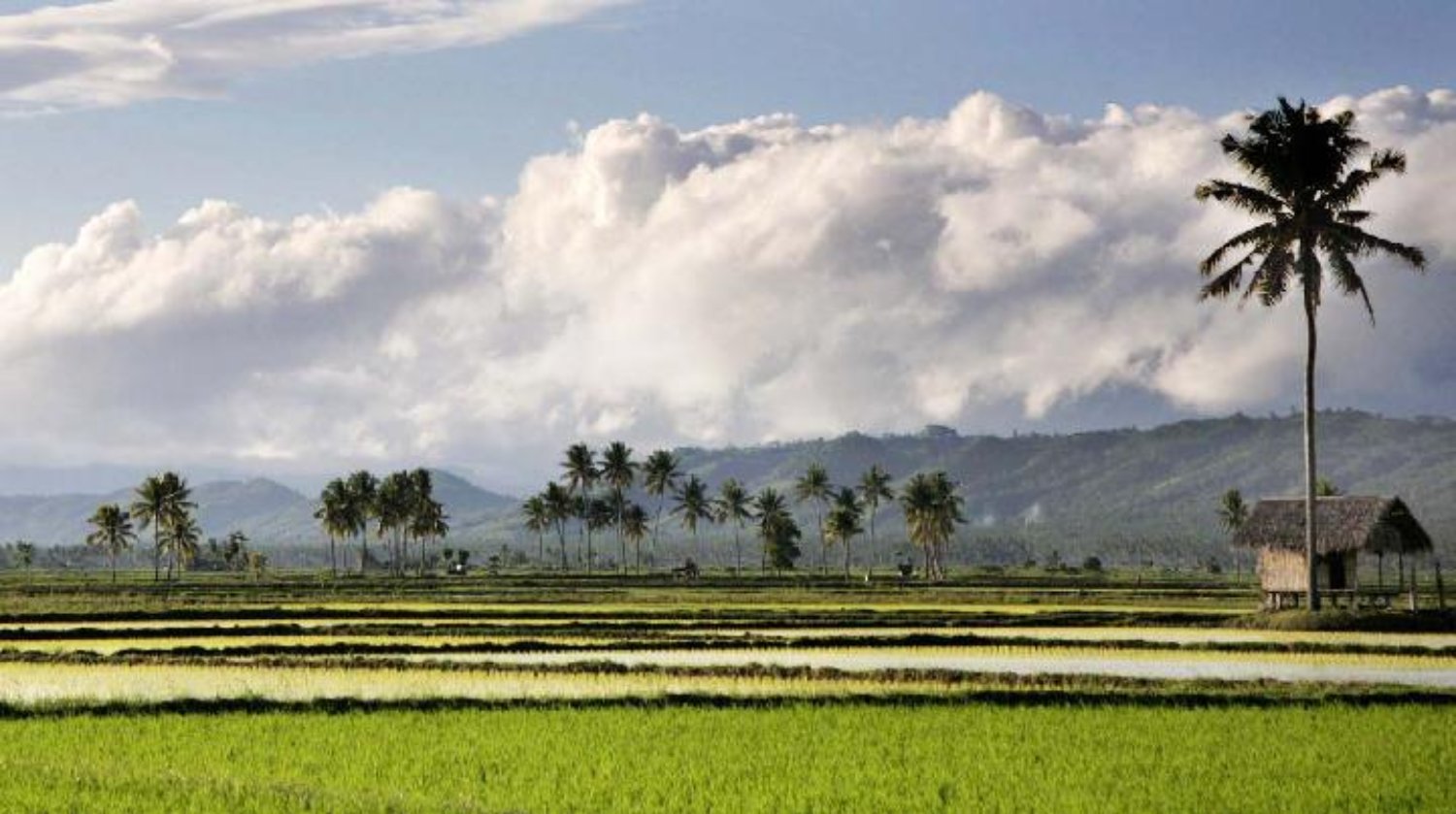 randonnèe et rafting très exotique sur la  riviere telaga waja à sidemen