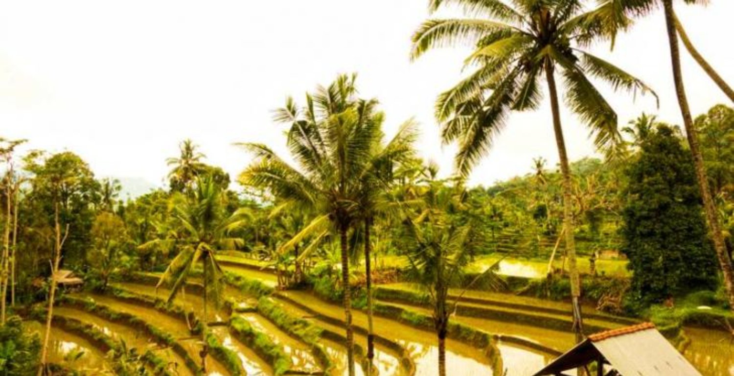 voyage à bali avec activité de la randonnée a sidemen -balilabelle