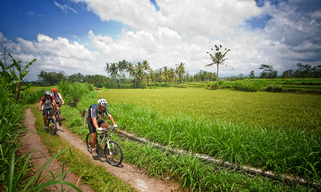 bali bike ride rizières et circuit  voyage de qualité ( package  14 nuits et 15 jours) balil- lombok