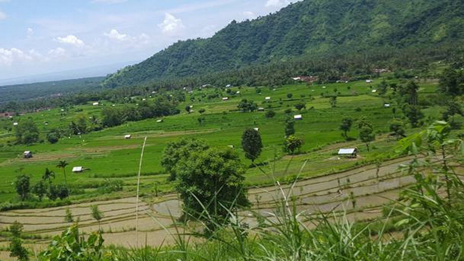 balade au village de sidemen avec de belles collines et rizières