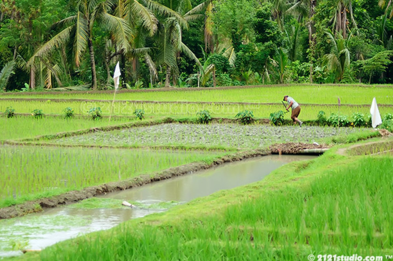 voyage à bali randonnée kastala et le palais tirtagangga