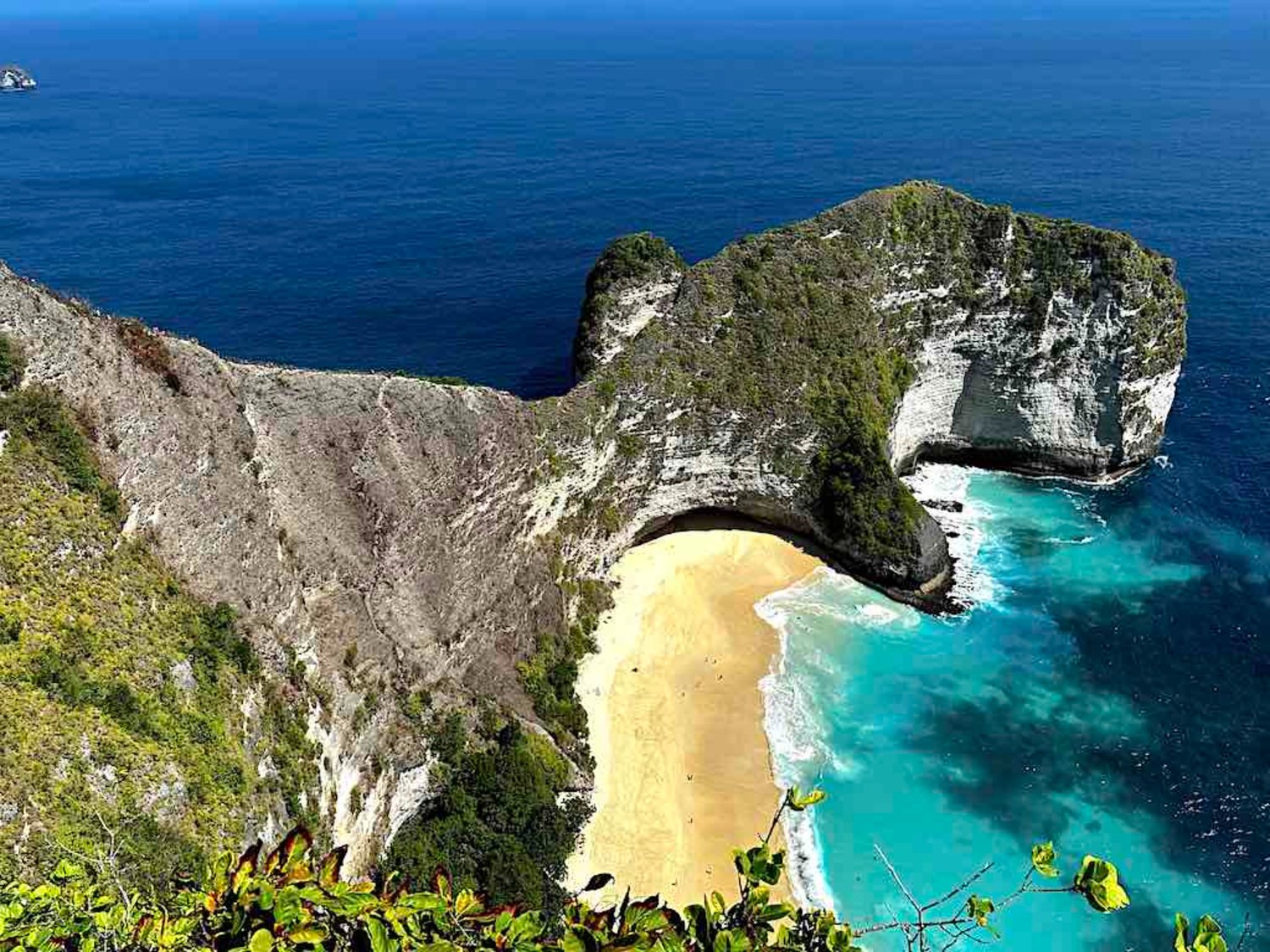 Kelingking Beach Nusa Penida
