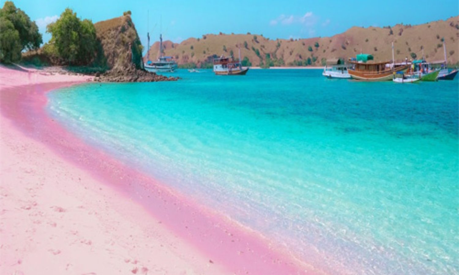 pink beach komodo island